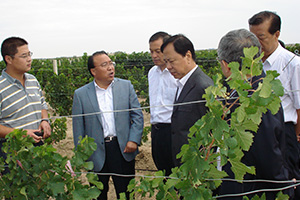 2012年，時任國務院副秘書長焦煥成（左四）視察威龍公司