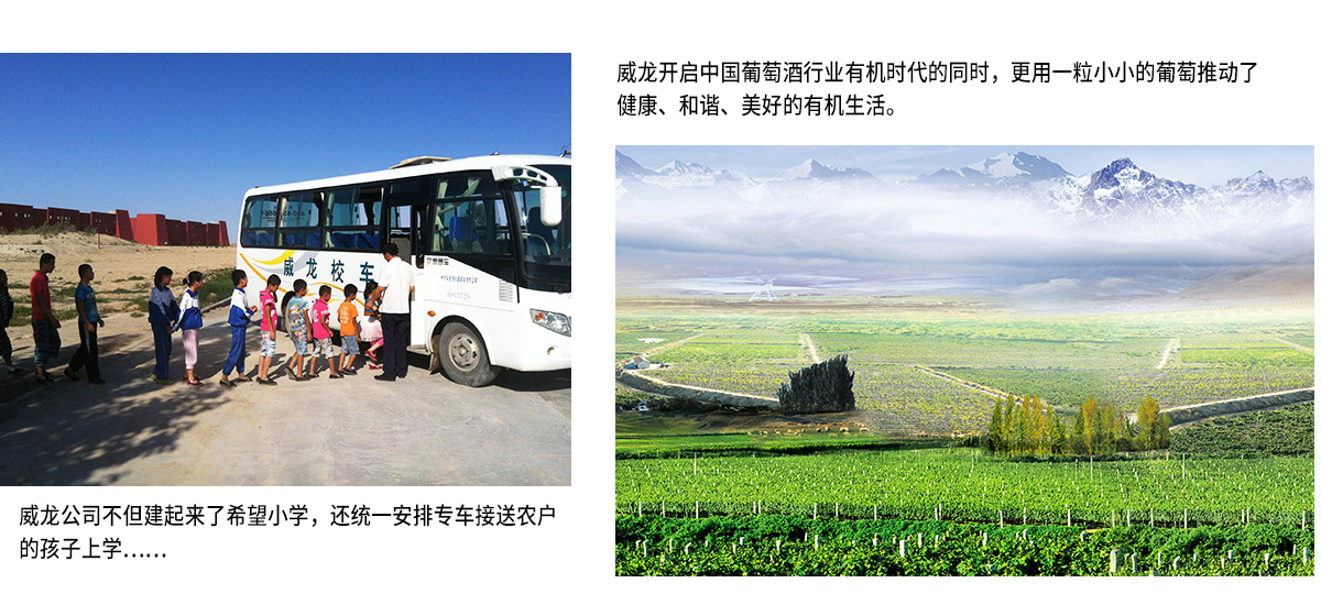 威龍社會(huì)公益