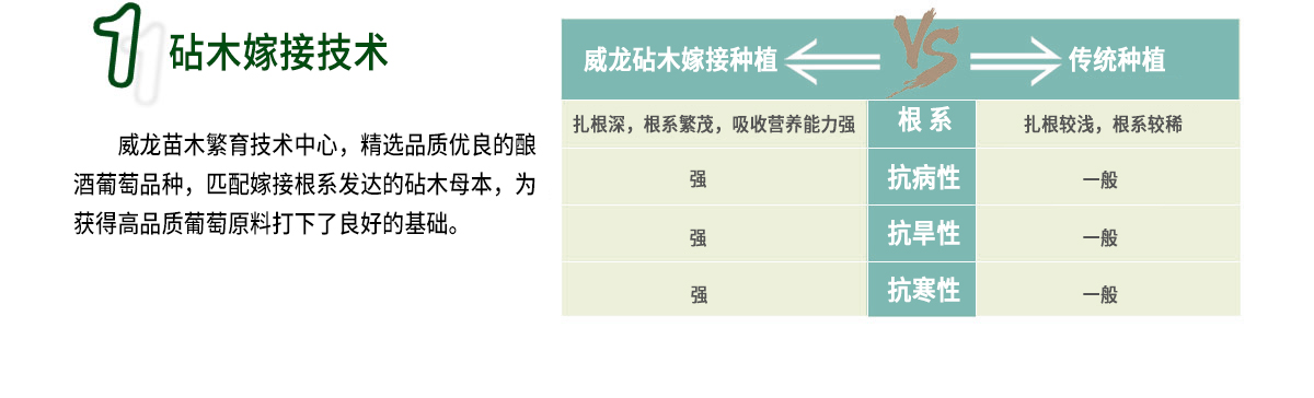 威龍葡萄酒技術體系