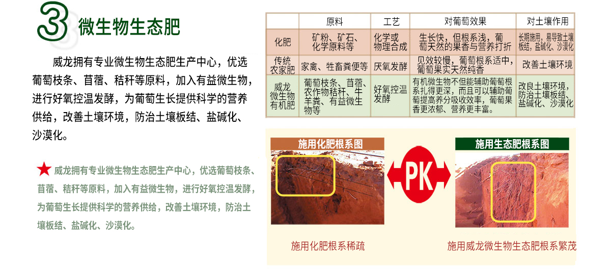 威龍葡萄酒技術體系
