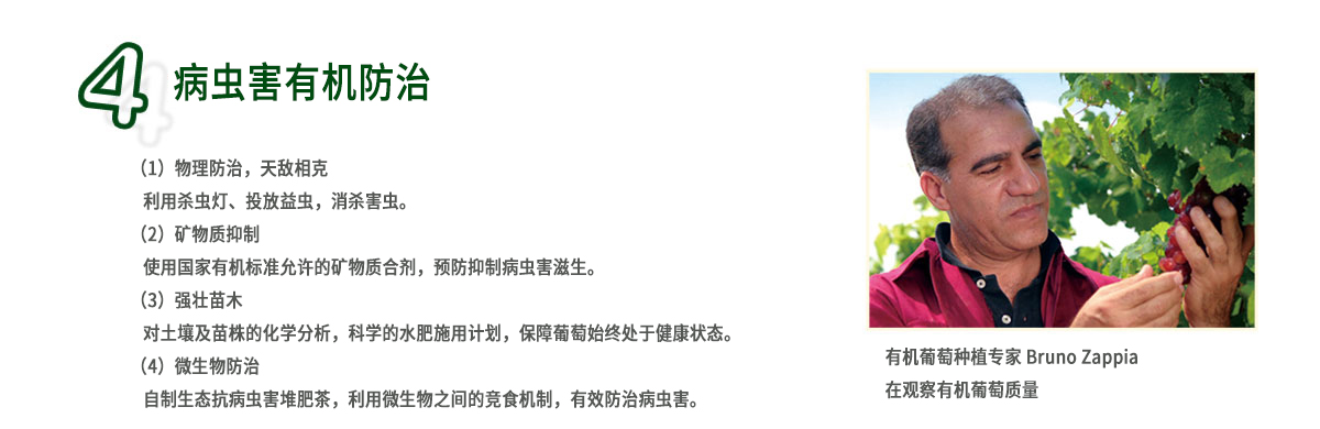 威龍葡萄酒技術體系