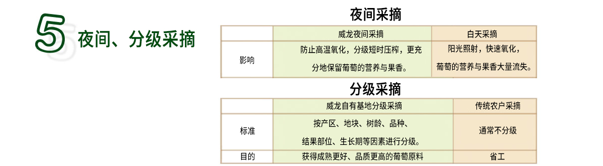 威龍葡萄酒技術體系