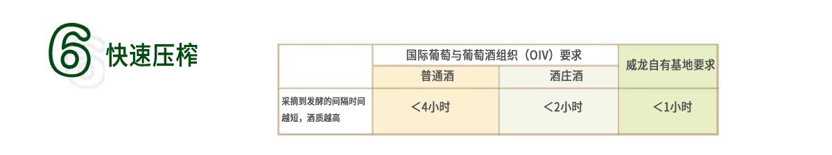 威龍葡萄酒技術體系