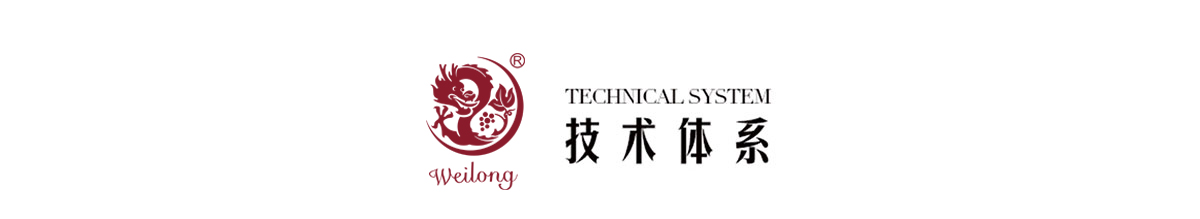威龍技術