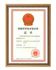國家科學(xué)技術(shù)進(jìn)步獎