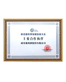 聯(lián)合國世界地理信息大會合作伙伴