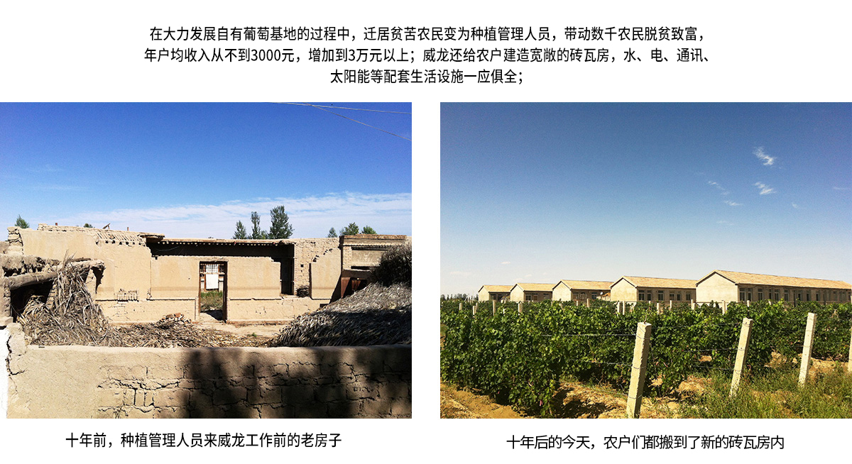 威龍社會(huì)公益