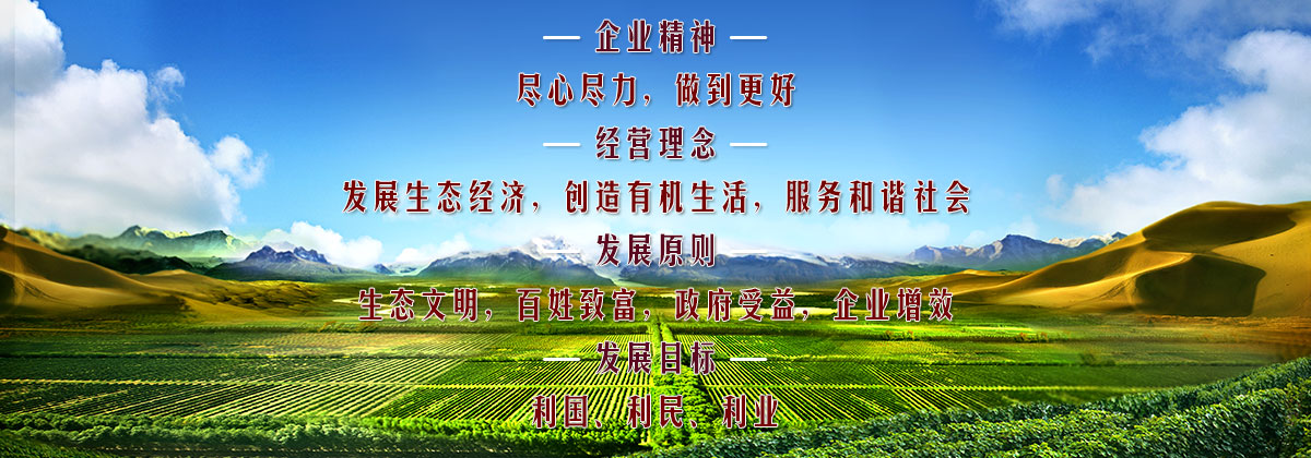 企業(yè)文化