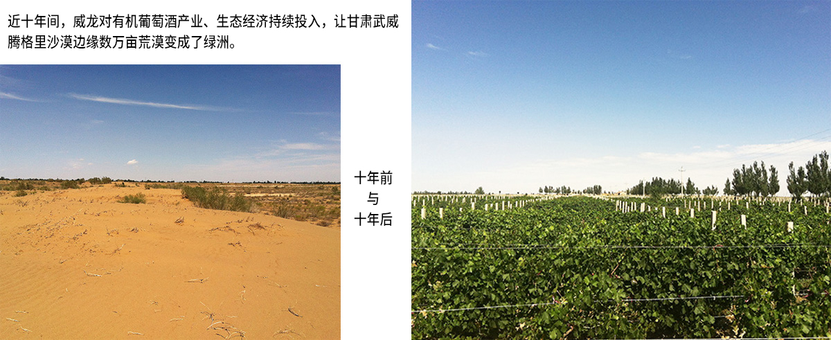 威龍社會(huì)公益